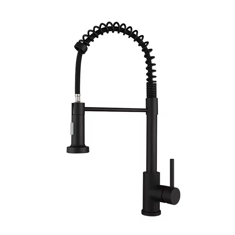 Stainless Steel Spring Faucet 1