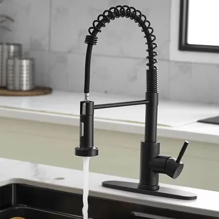 Stainless Steel Spring Faucet 4