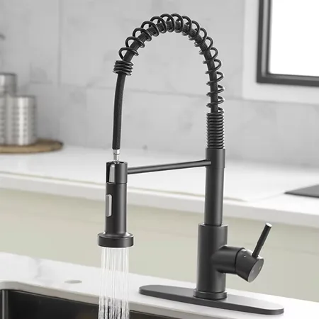 Stainless Steel Spring Faucet 5