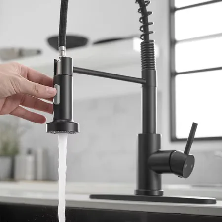 Stainless Steel Spring Faucet 7
